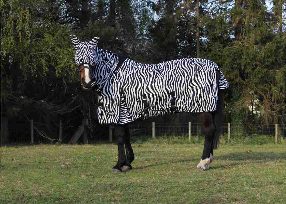 JUMP ALL IN ONE ZEBRA FLY RUG