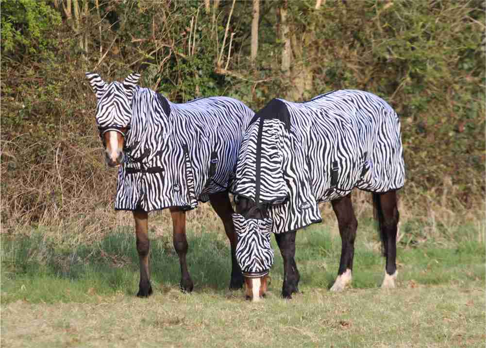 JUMP ALL IN ONE ZEBRA FLY RUG