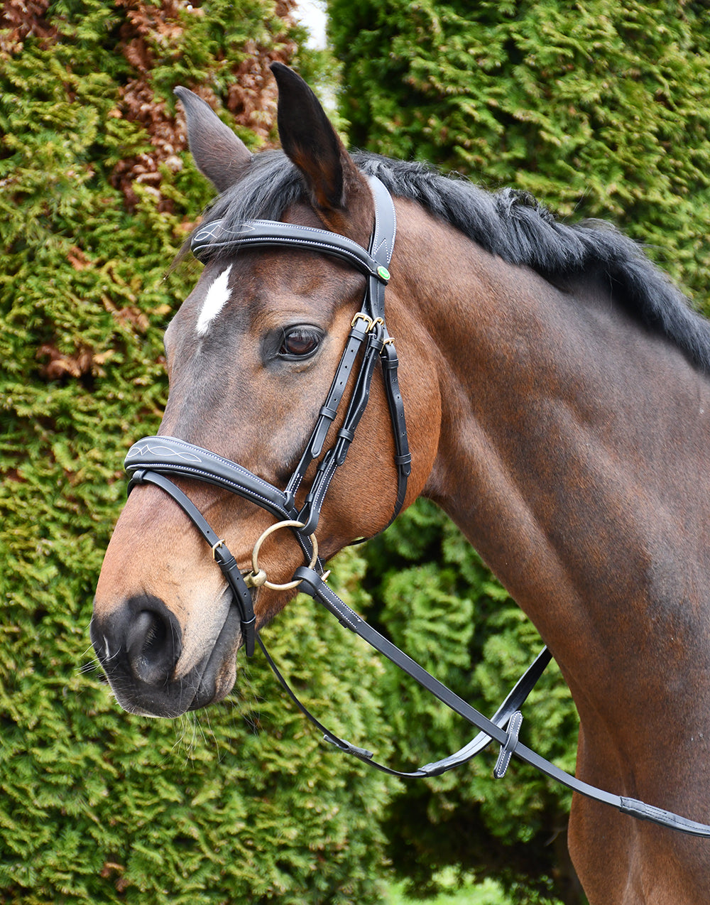 Rhinegold Elegance Wide Stitch Anatomical Leather Bridle With Reins