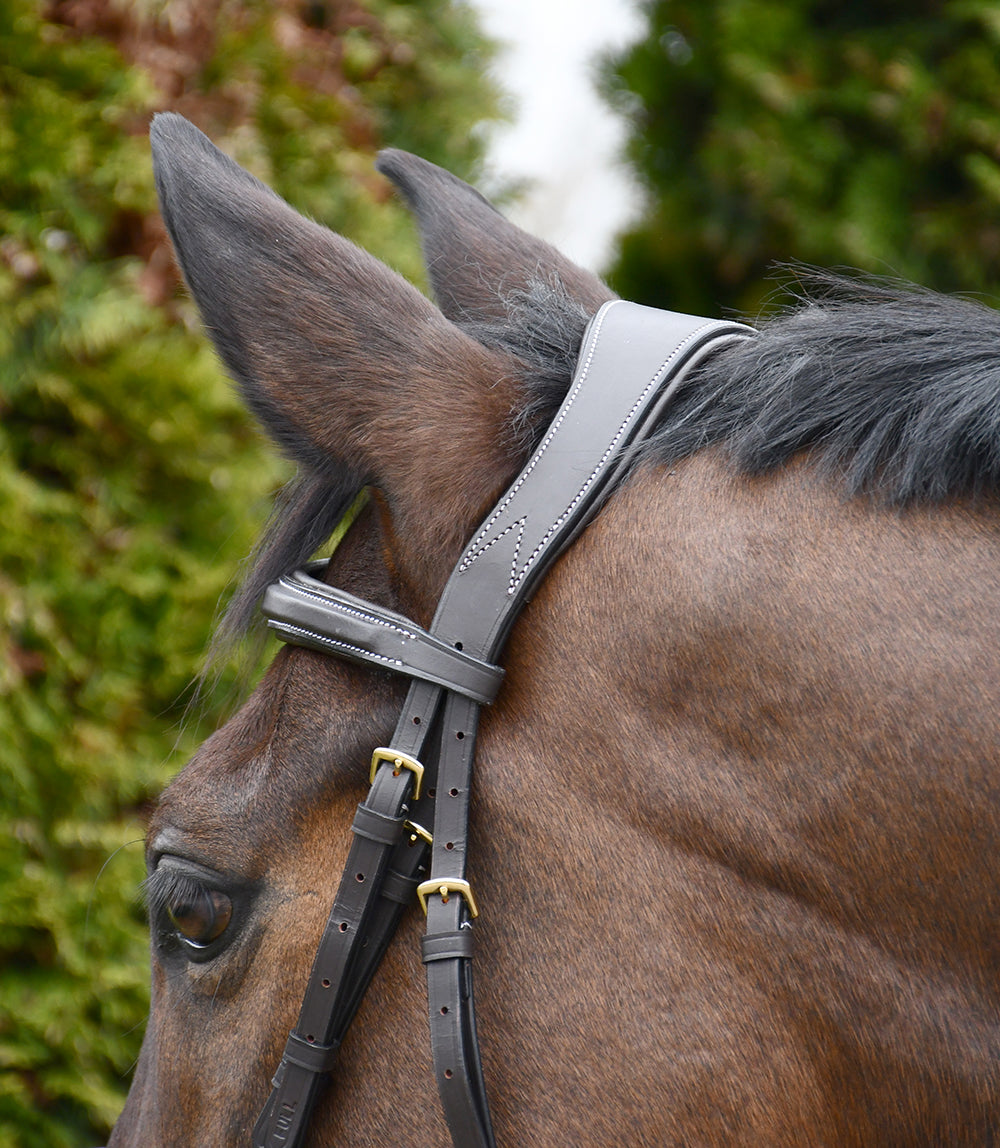 Rhinegold Elegance Wide Stitch Anatomical Leather Bridle With Reins
