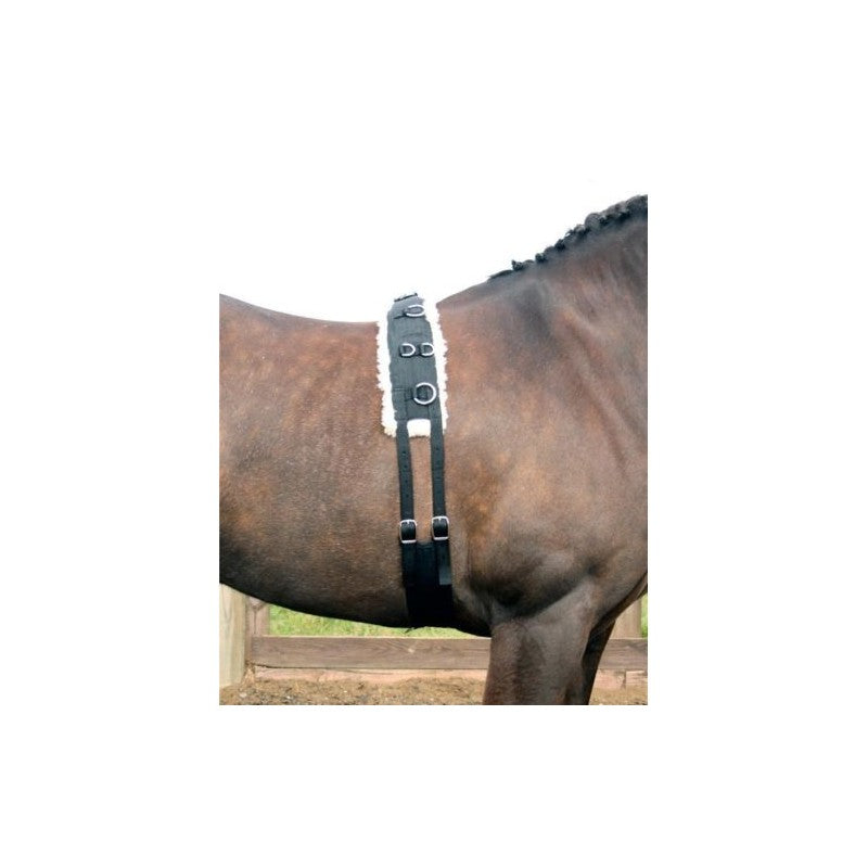 Fleece Training Roller ( lunging)