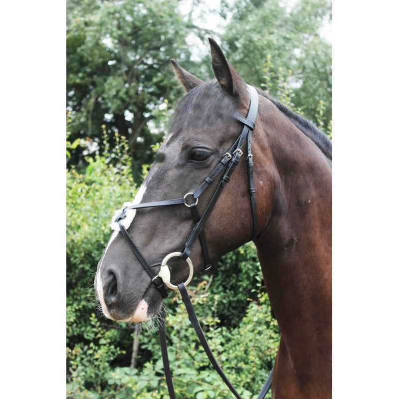Sheldon Classic Mexican Grackle Bridle with rubber reins