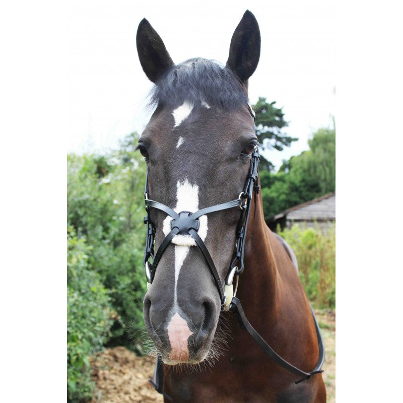 Sheldon Classic Mexican Grackle Bridle with rubber reins