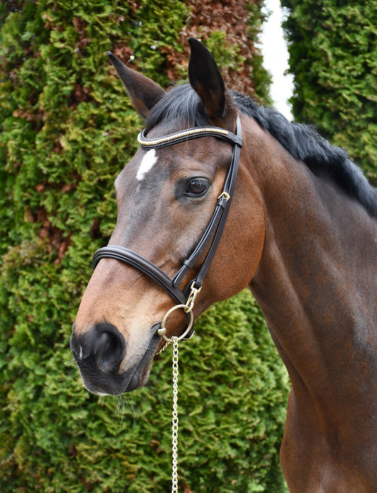 Rhinegold Veneto Leather Show Bridle With Clincher Browband