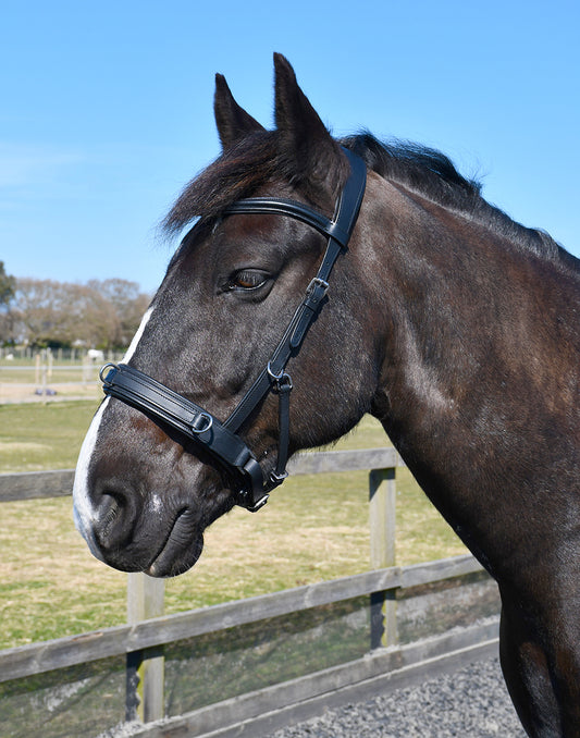 Rhinegold Leather Lunge Cavesson With Bit Attachment