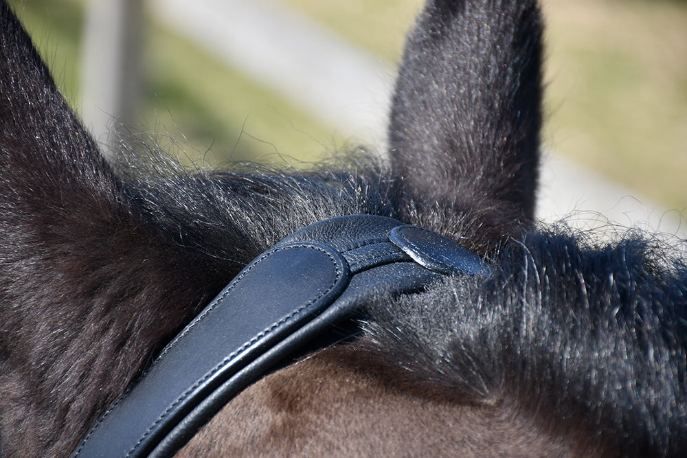 Rhinegold Leather Lunge Cavesson With Bit Attachment