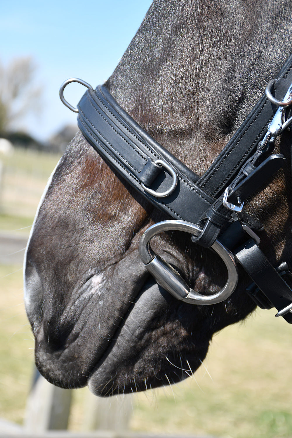 Rhinegold Leather Lunge Cavesson With Bit Attachment