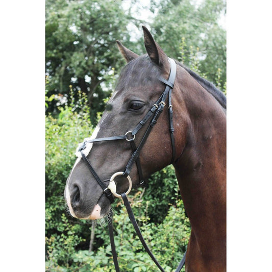 Sheldon Classic Mexican Grackle Bridle with rubber reins